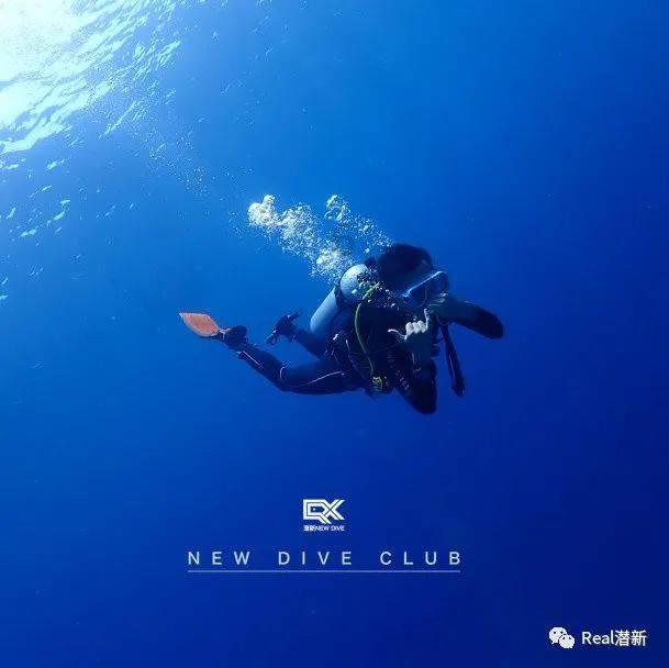 小猫钓鱼开船版最新版下载